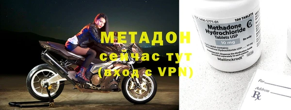 шишки Арсеньев