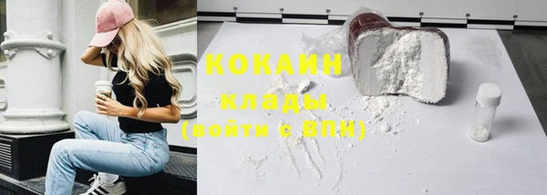 шишки Арсеньев