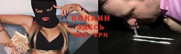 шишки Арсеньев