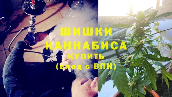 шишки Арсеньев