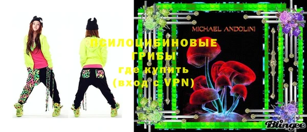 шишки Снежинск