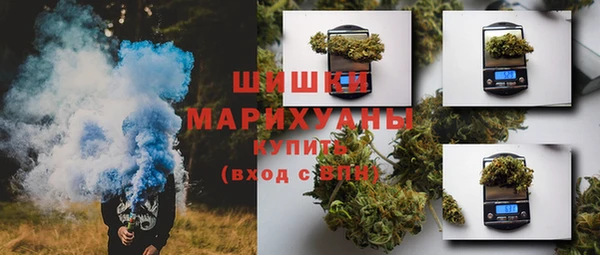 шишки Арсеньев