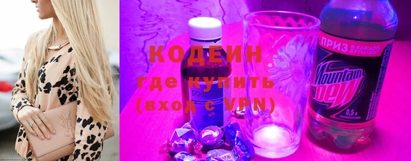 шишки Арсеньев