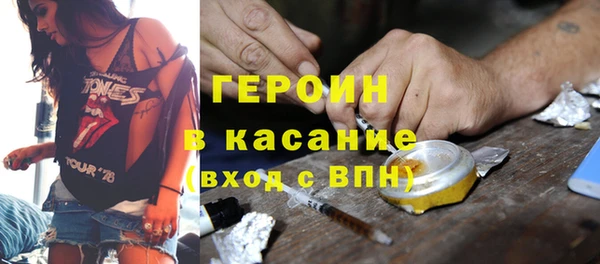 шишки Арсеньев