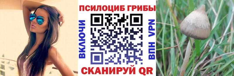 Галлюциногенные грибы Magic Shrooms  Купить где  Светлоград 