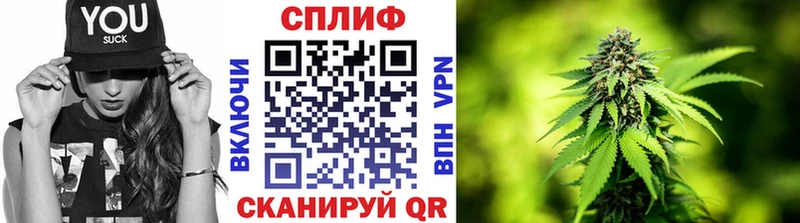 Купить закладки  Светлоград  Канабис AK-47 
